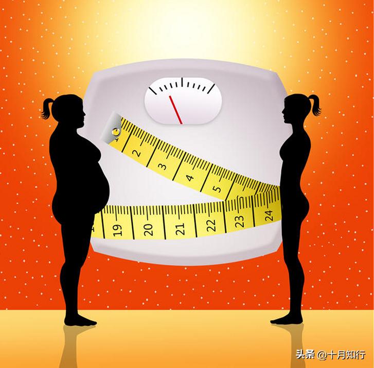 怎么减上腹部脂肪最快最有效,如何高效减掉腹部脂肪