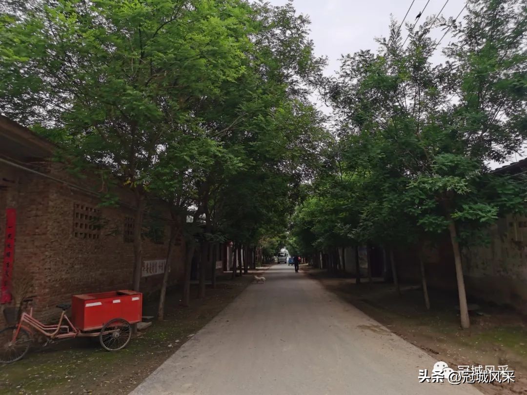 贾镇艾寨村,冠县艾寨