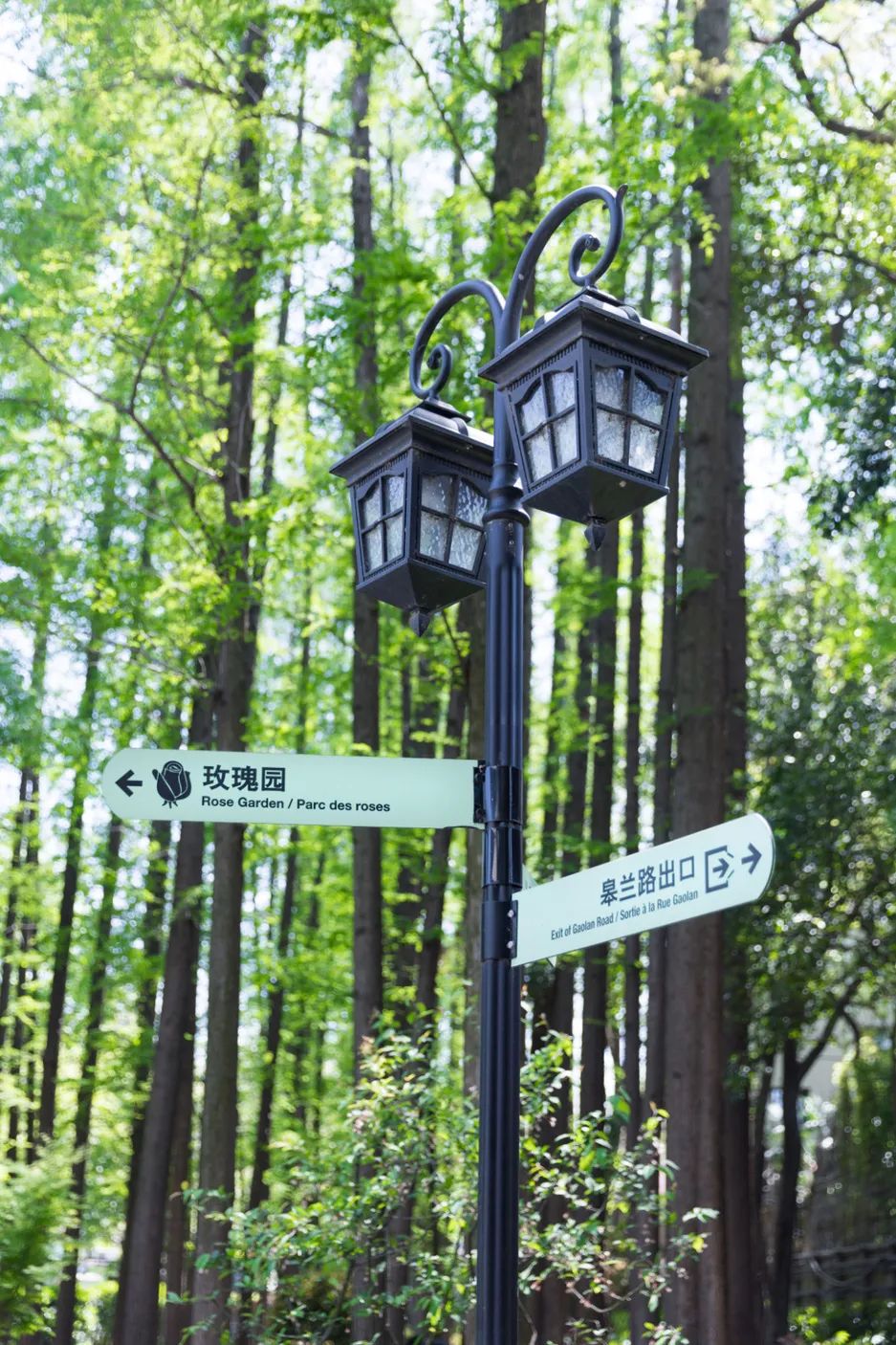 实用全上海532家公园攻略速速收藏,上海攻略必去的公园