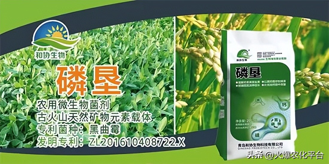 棚里土板结最好的解决方法,大棚土壤板结解决方法