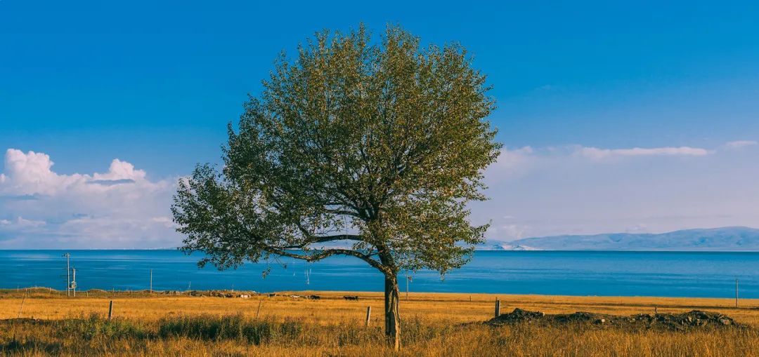 新藏线几月走最好全程线路详细,新藏线13天详细路线