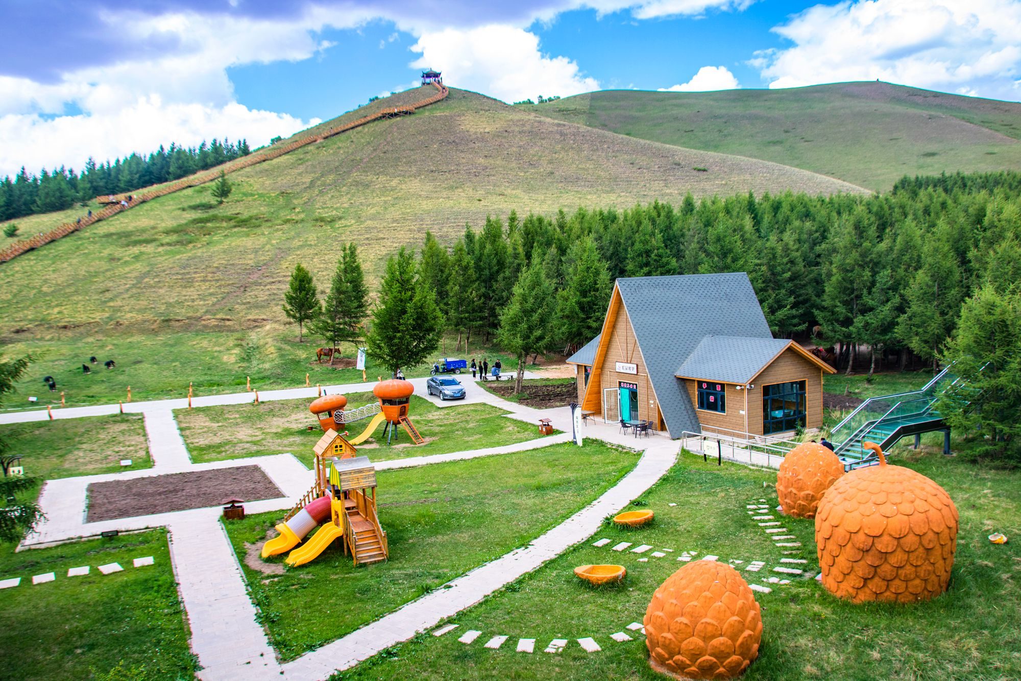 丰宁坝上七彩森林游玩攻略,丰宁坝上七彩森林