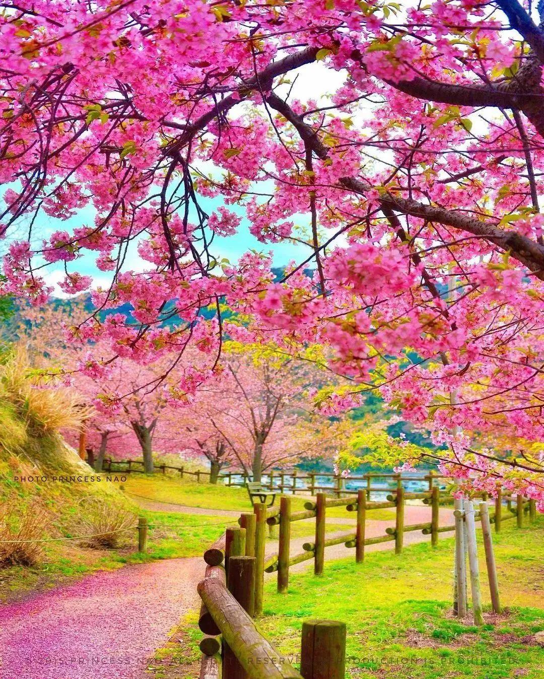 静等春暖花开抒情散文,春暖花开散文名家名作