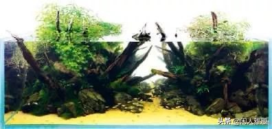 1.8米长水陆缸与草缸结合,组合式草缸