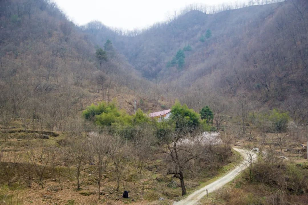 疫情让秦岭山村变得更加寂静，寻访秦岭坪沟，尽量不主动接触村民