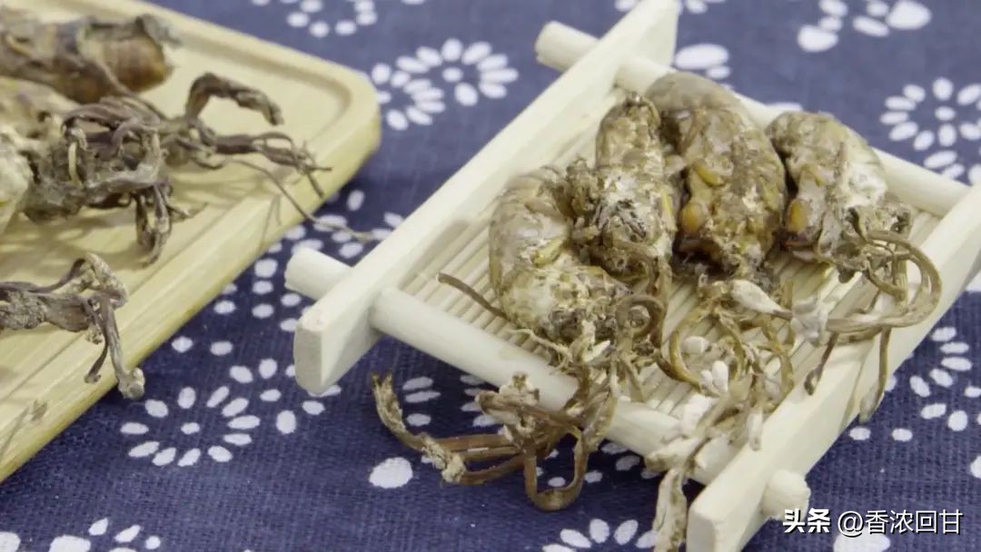 金鸡鲍鱼汤,滋补养生老鹅炖牛鞭