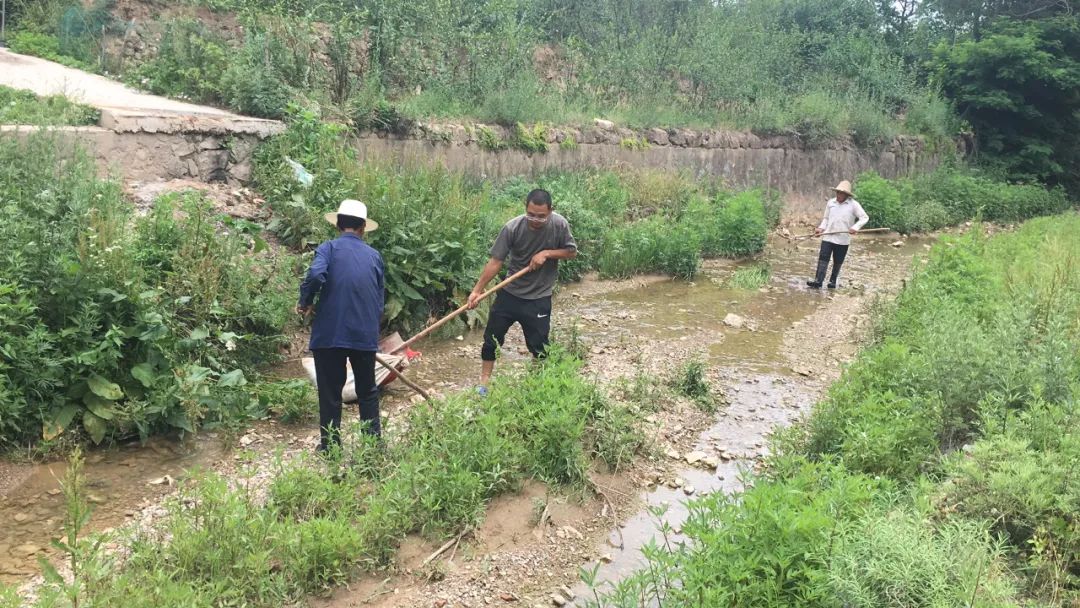 辛店镇持续开展路域环境整治行动,两城镇不断加大环境卫生整治力度