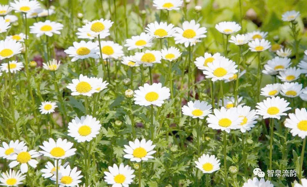 郭进栓汝州,郭进栓