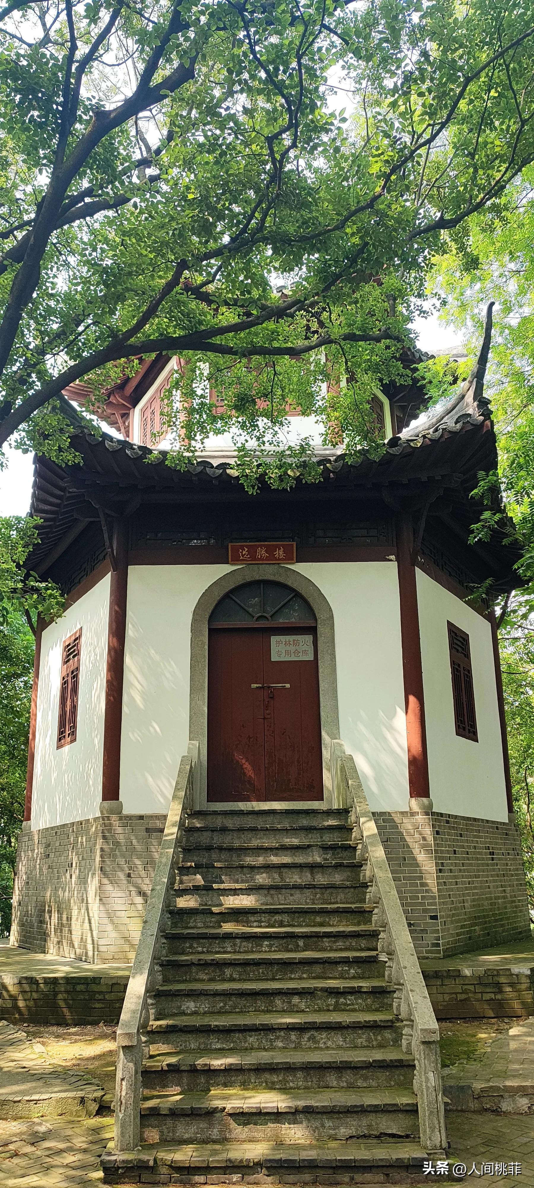 没有感同身受只有独自承受的意思,没有什么感同身受只能独自承受