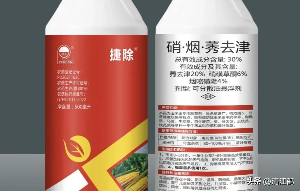 玉米除草剂药害最佳补救方法,玉米24d丁酯除草药害图片