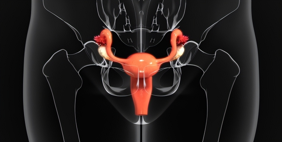 关于处女膜，是时候该“捅破”真相了！