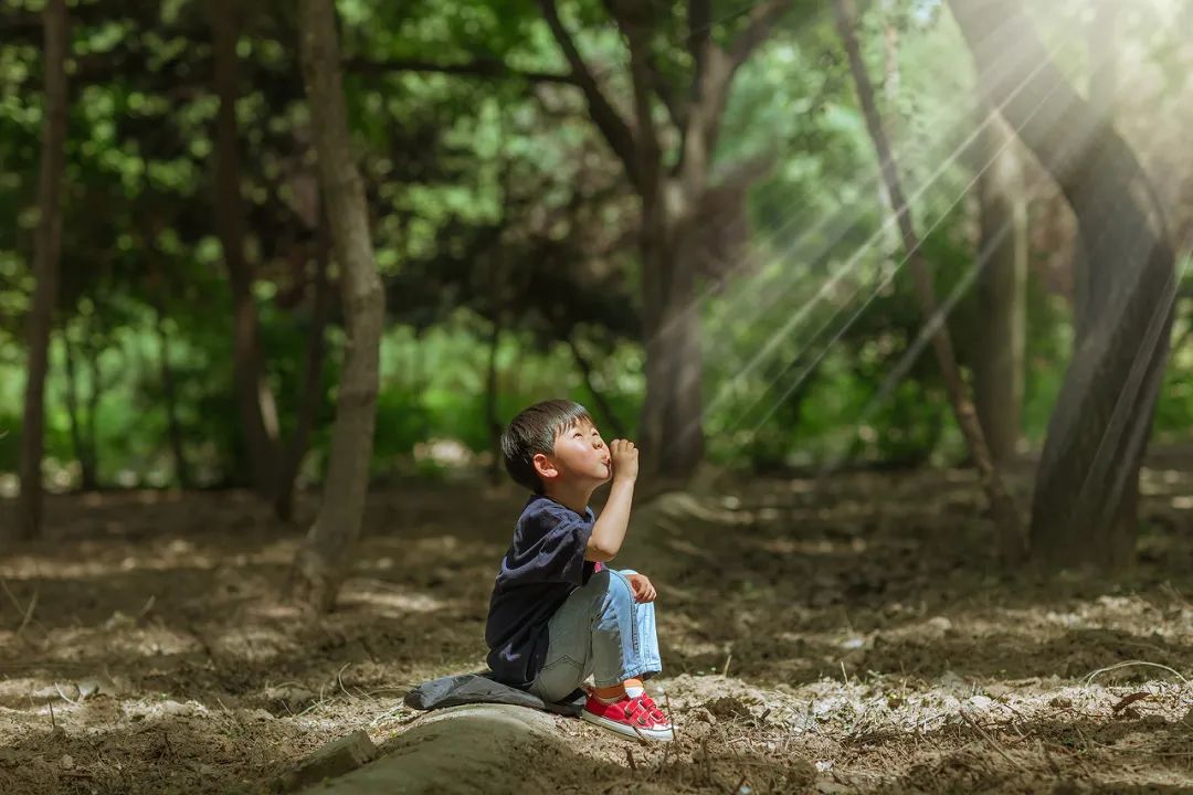 二八定律教育孩子,批评二八定律