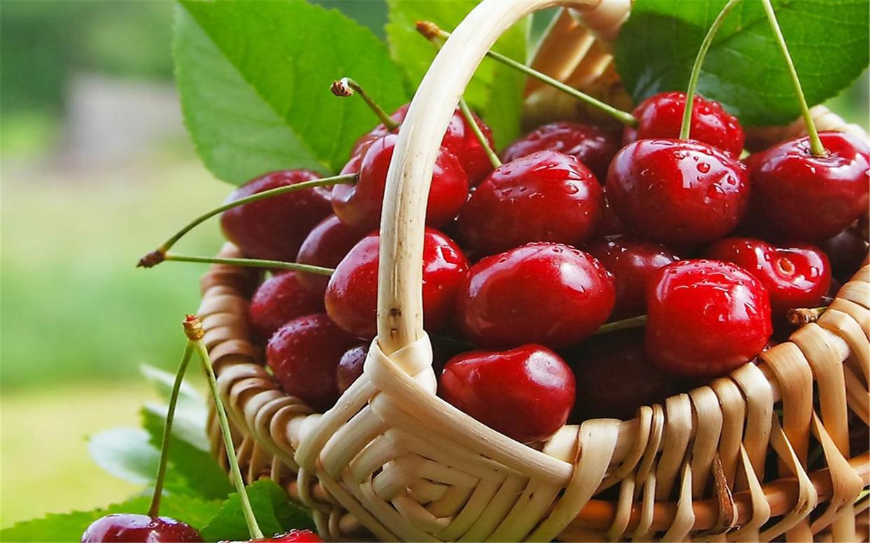 这7种人可不能乱吃樱桃,樱桃能不能随便吃