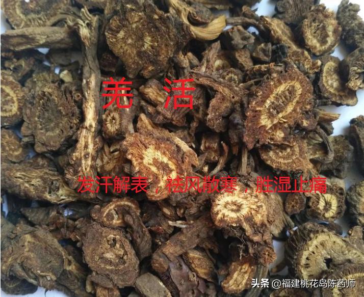 28味解表中药的性味与功效,麻黄性味辛温故能解表散寒