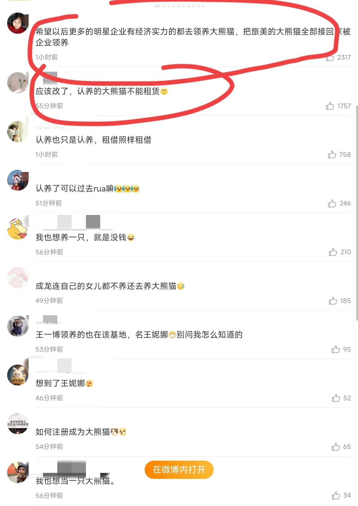 认养大熊猫的流程,饭扫光认养大熊猫