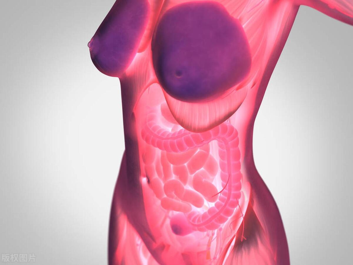 女友胸部有硬块,女朋友胸部有两个硬块并疼痛