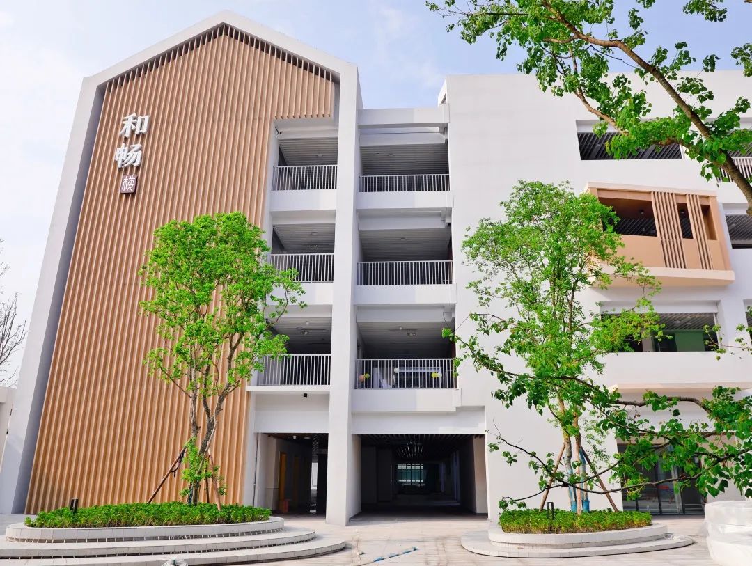 成都新津石笋街小学最新进展,石笋街小学新津分校多少班