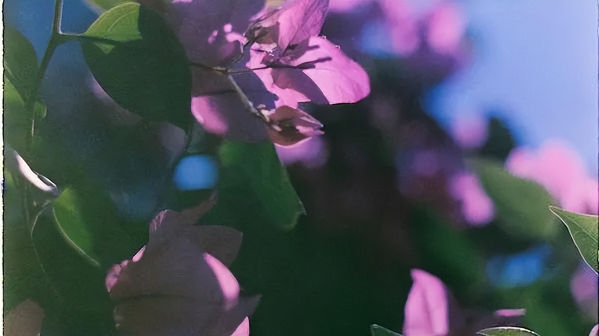 不管有没有钱，只要家中出现了这“三个吉兆”，家就是福地