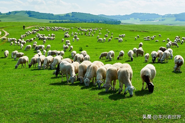 足球场就是人生场,别被轻易带节奏