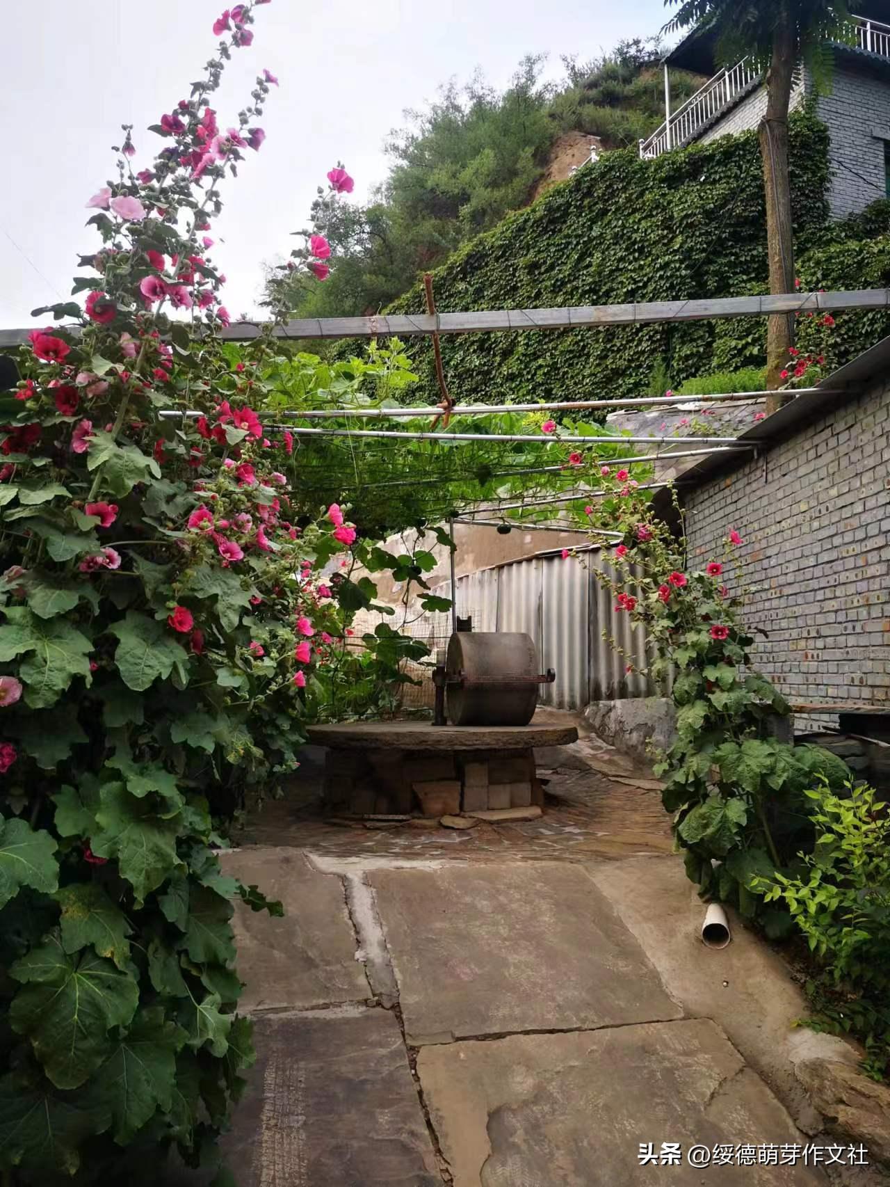 绥德李强国：从高舍硷到高石角