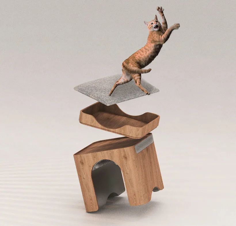 宠物设计用什么产品比较好,给宠物设计一款产品