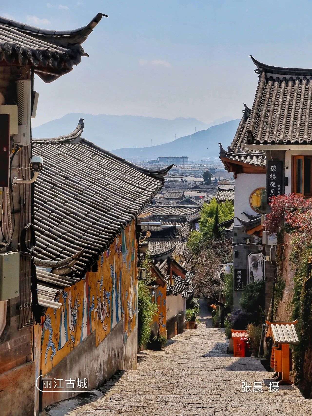 云南世界花园视频,云南世界花园