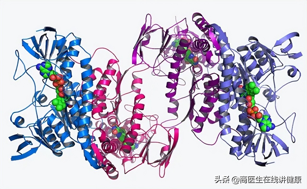 吃花生对胰岛功能的影响,常吃花生对心血管有害吗