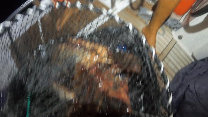 中国小伙的航海日记,中国小伙的航海日记十六