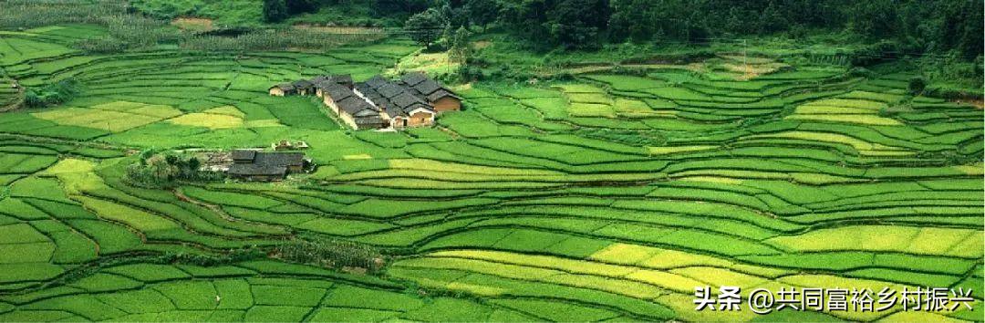 有机农业发展前景的趋势,未来农业最有前景的商机