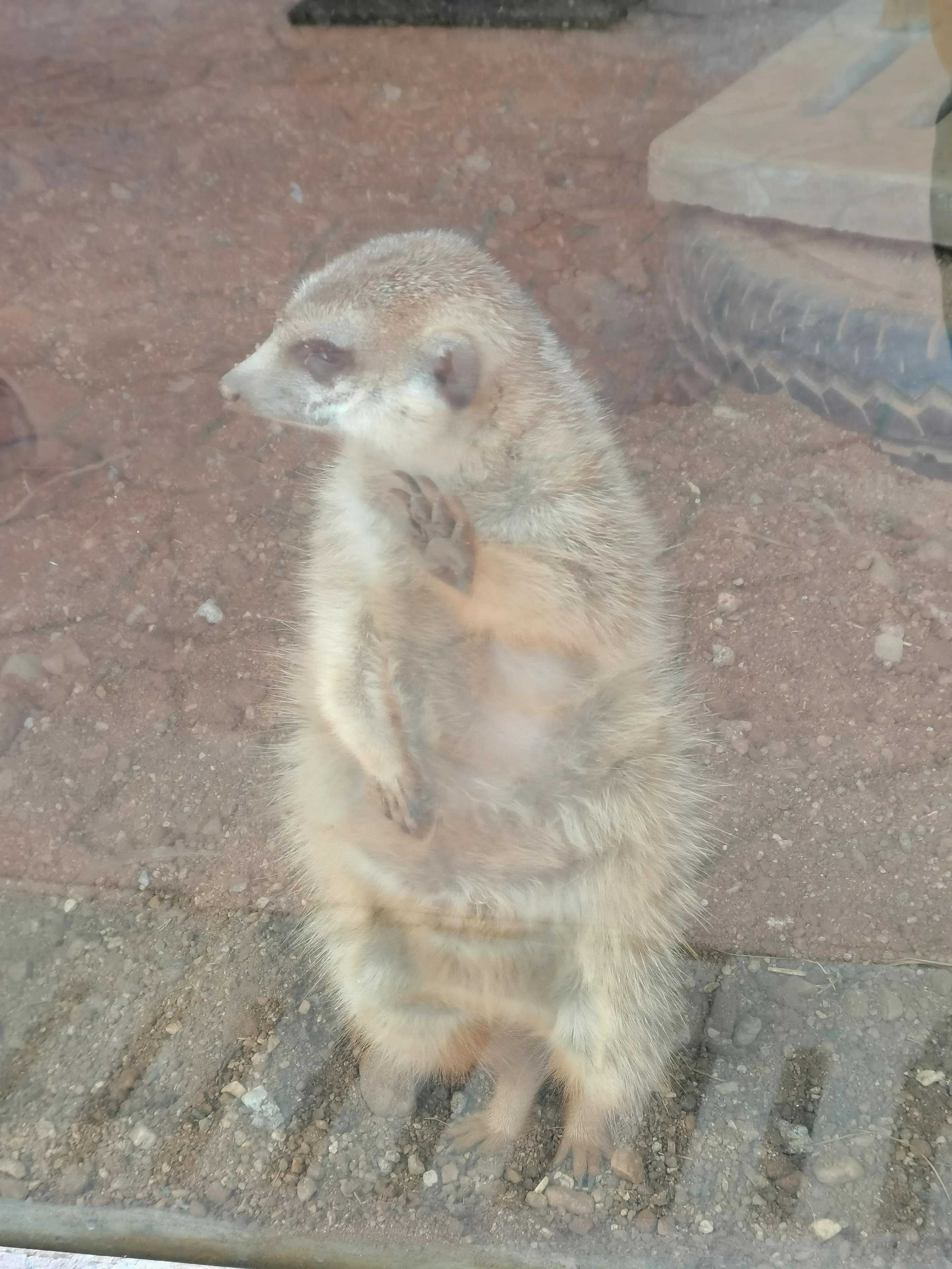 大洪山西游记公园攻略,大洪山西游记公园门票预订