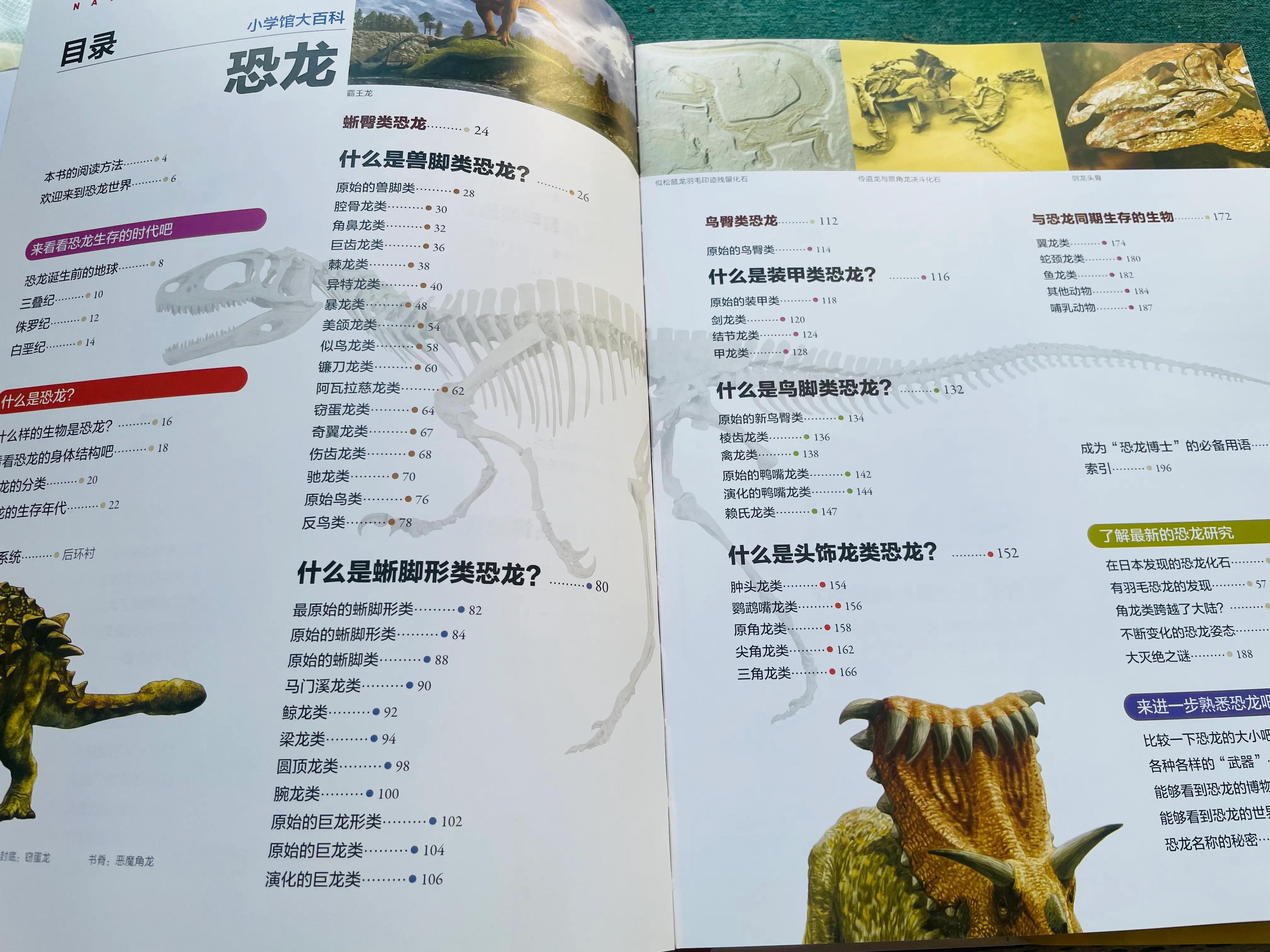 恐龙书单,恐龙的书单