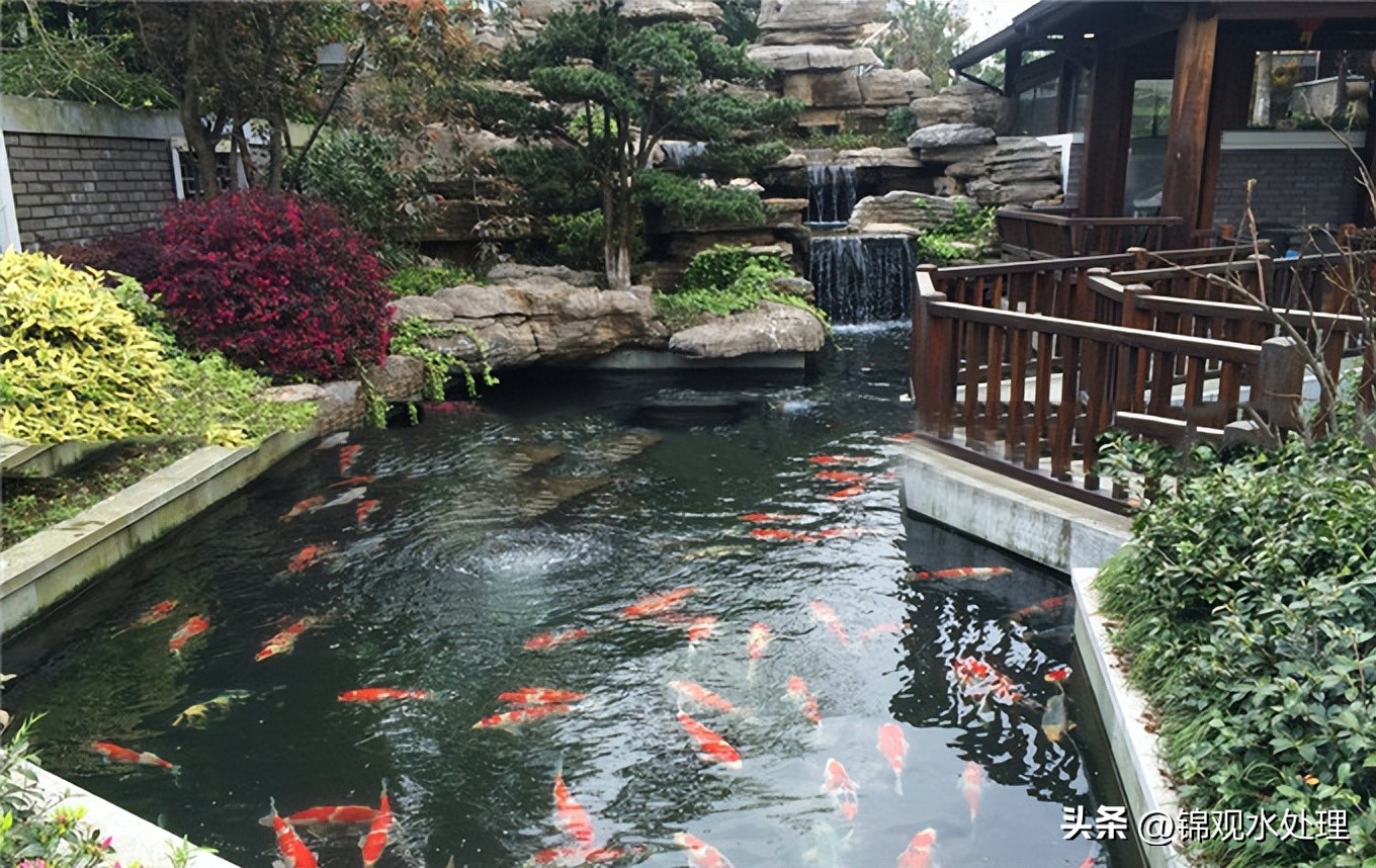 鱼池过滤毛刷安装方法,最简单高效的鱼池过滤系统设计图