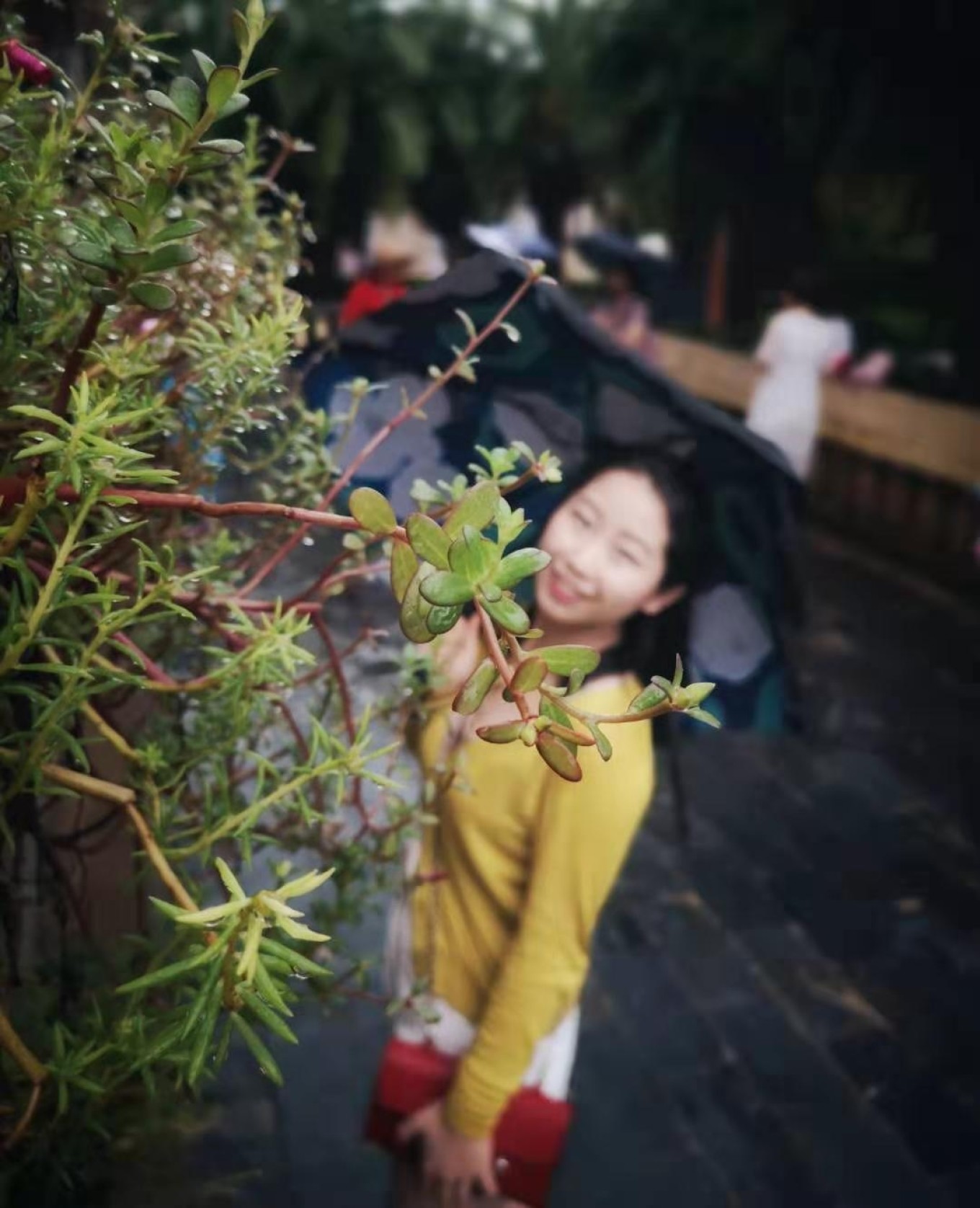 北海是一座令人向往的城市吗,北海是浪漫的城市