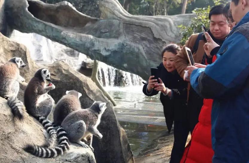 身高86厘米的千万富翁，白手起家到霸道总裁：残缺身体藏超级灵魂