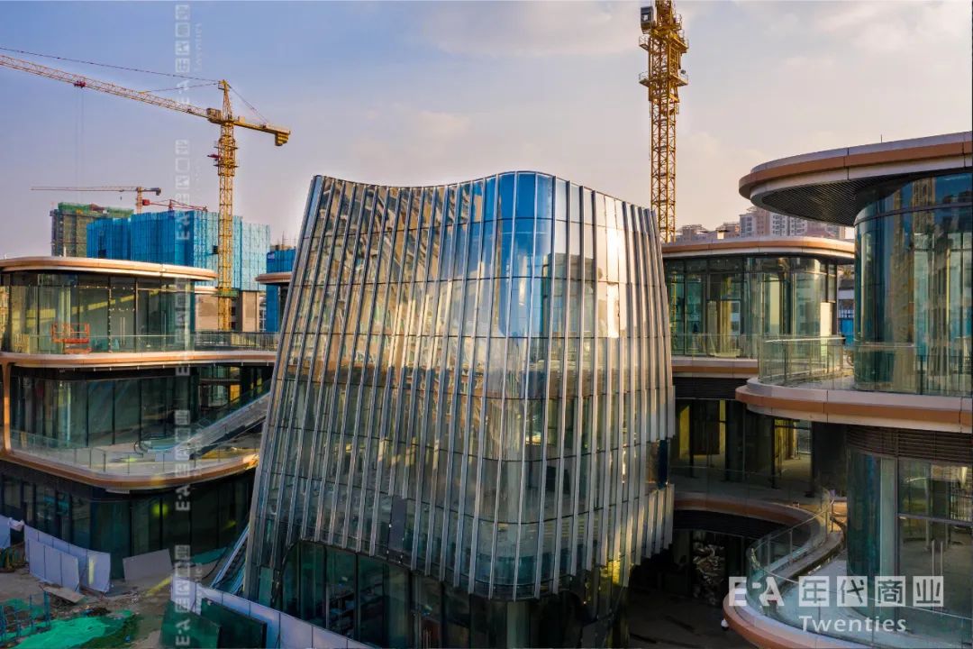 鸽王争霸,鸽王争霸赛开幕