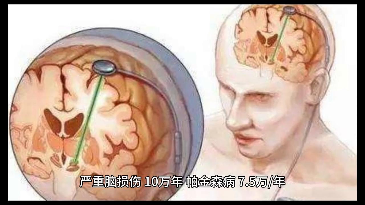 增强免疫力我们要在行动,每天学习一点点