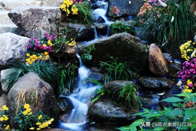 她做保姆这些年之豪门生活完整版,她做保姆这些年豪门生活之序