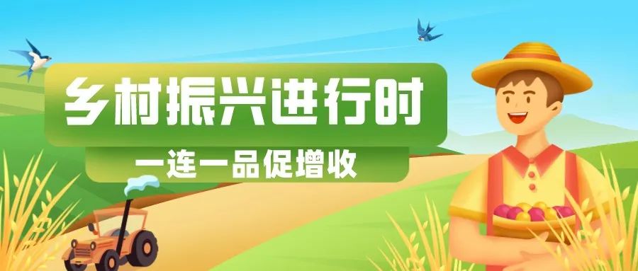 八十七团七连：“无土栽培”日光温室推动庭院经济提质增效