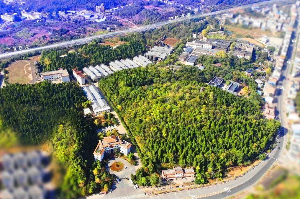 恩施市和信堂商贸有限公司,恩施和信堂