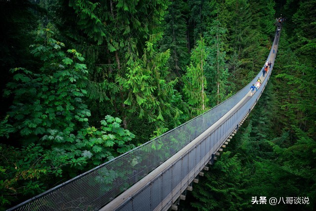 加拿大7天生活,加拿大7-11