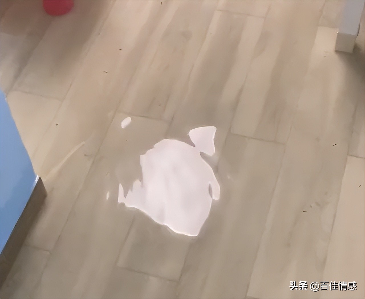 女子凌晨惊醒发现家被淹,女子一觉醒来发现家被淹了