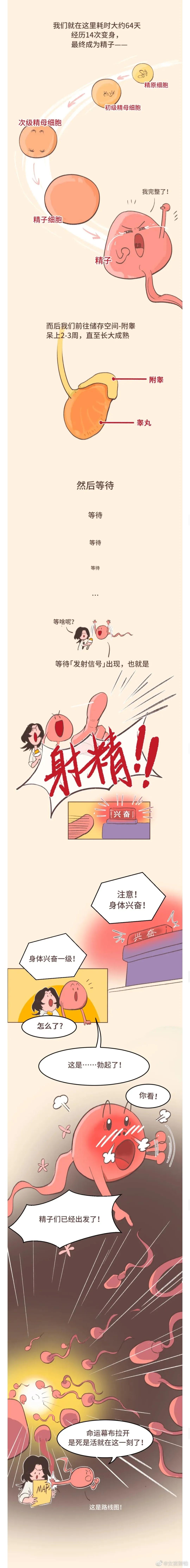 不*射内**会怀孕吗？夫妻们要留意了