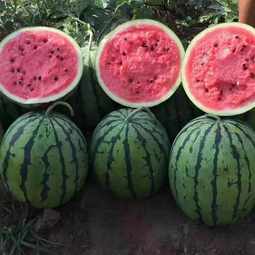 农产品促进销量的办法,农产品销售技巧及方法