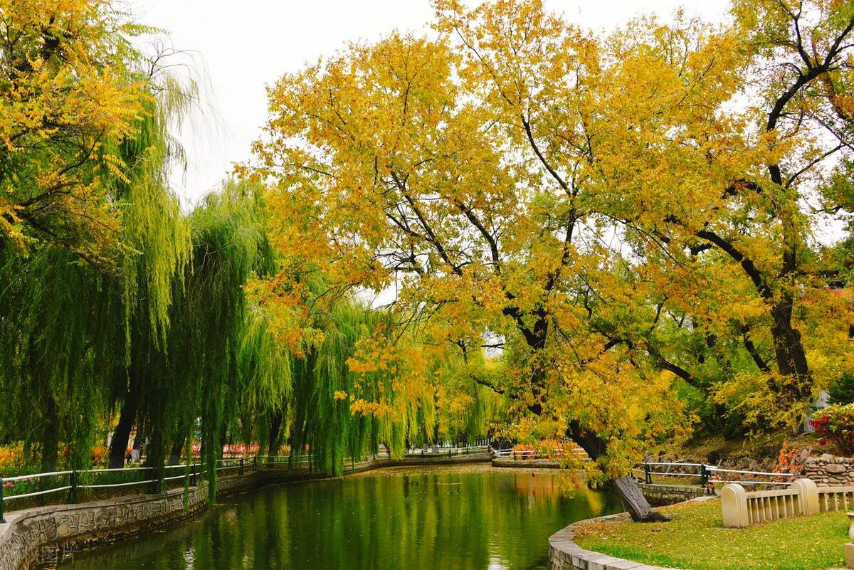 哈尔滨十大最值得去的景点,哈尔滨最值得去的十大景点排名