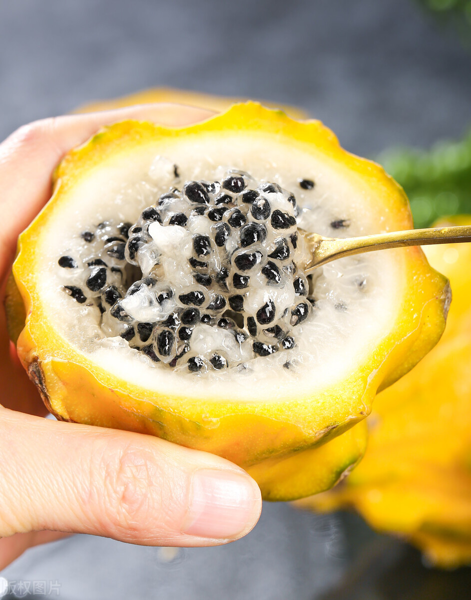 厄瓜多尔麒麟火龙果,厄瓜多尔的麒麟果是什么样子的