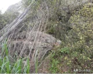 《寻味顺德》校本课程第二课