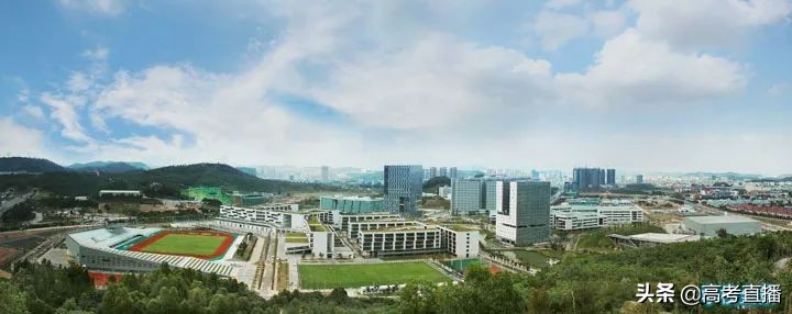 深职全国专科排名,2021广东公办专科学校排名