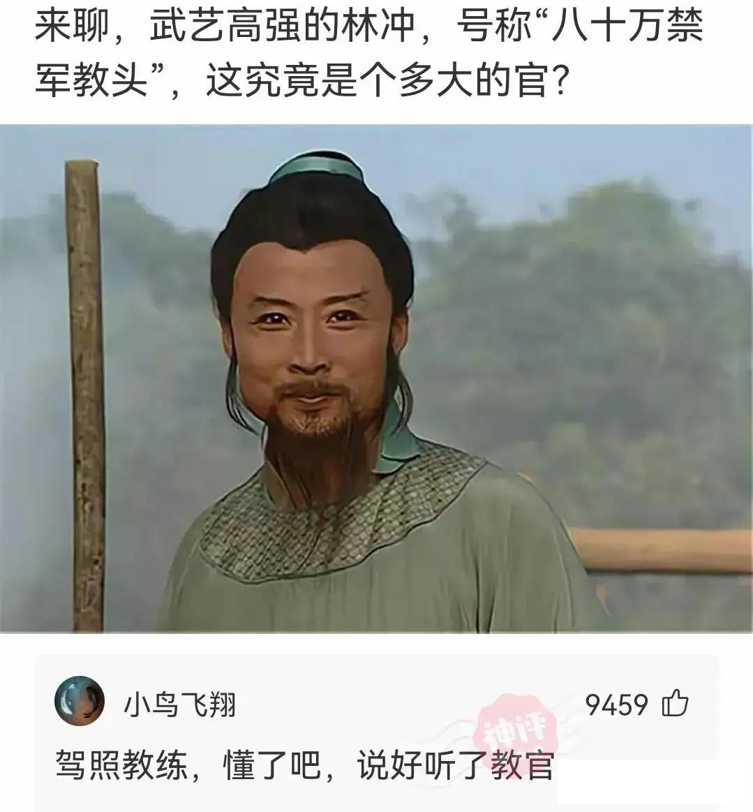 狗子看猫咪很轻松地就上去了，也学着来，结果把猫咪的窝给砸了