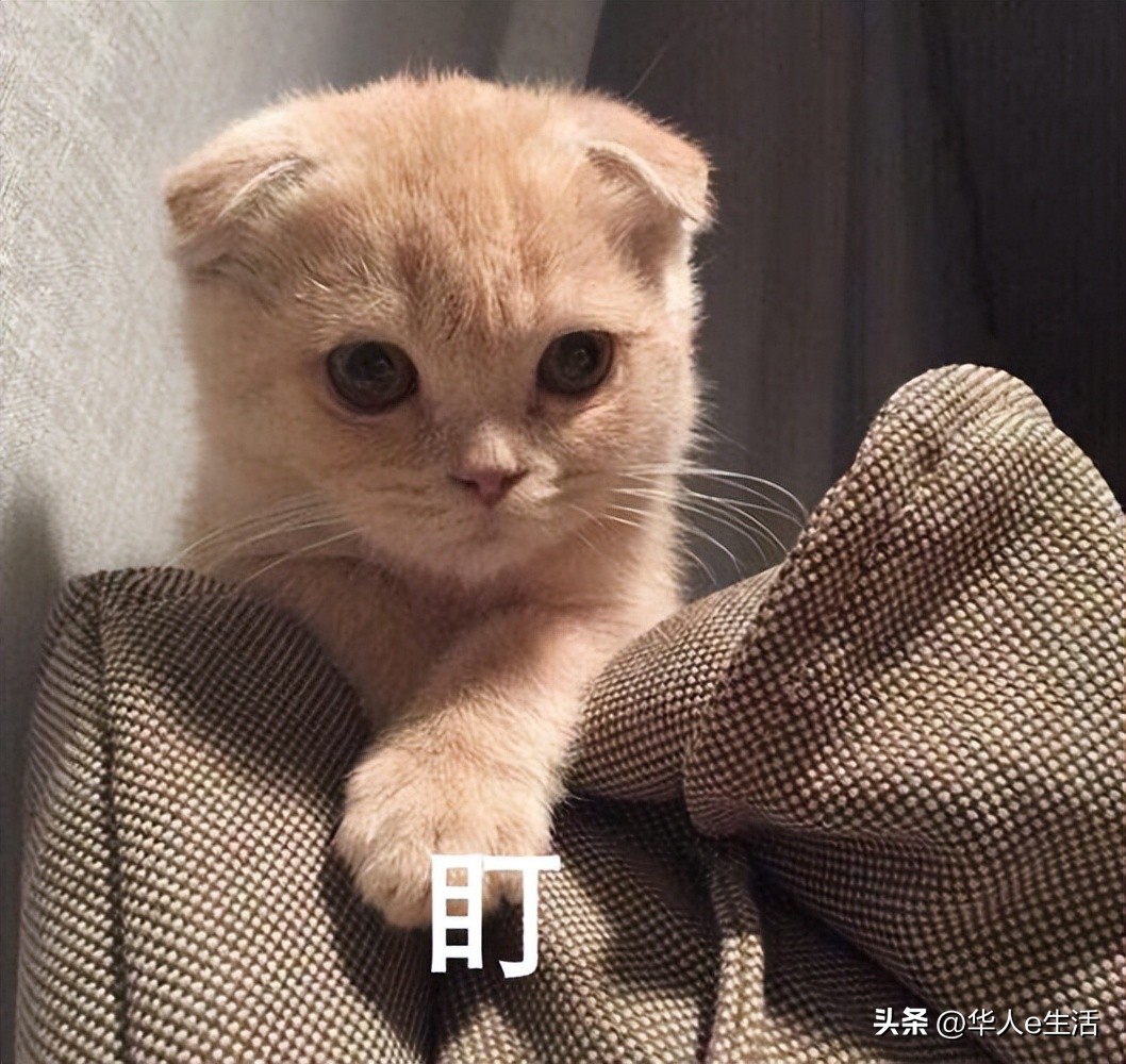 印度Vodafone手机卡解答：话费流量充值查询、SIM激活/上网漫游等