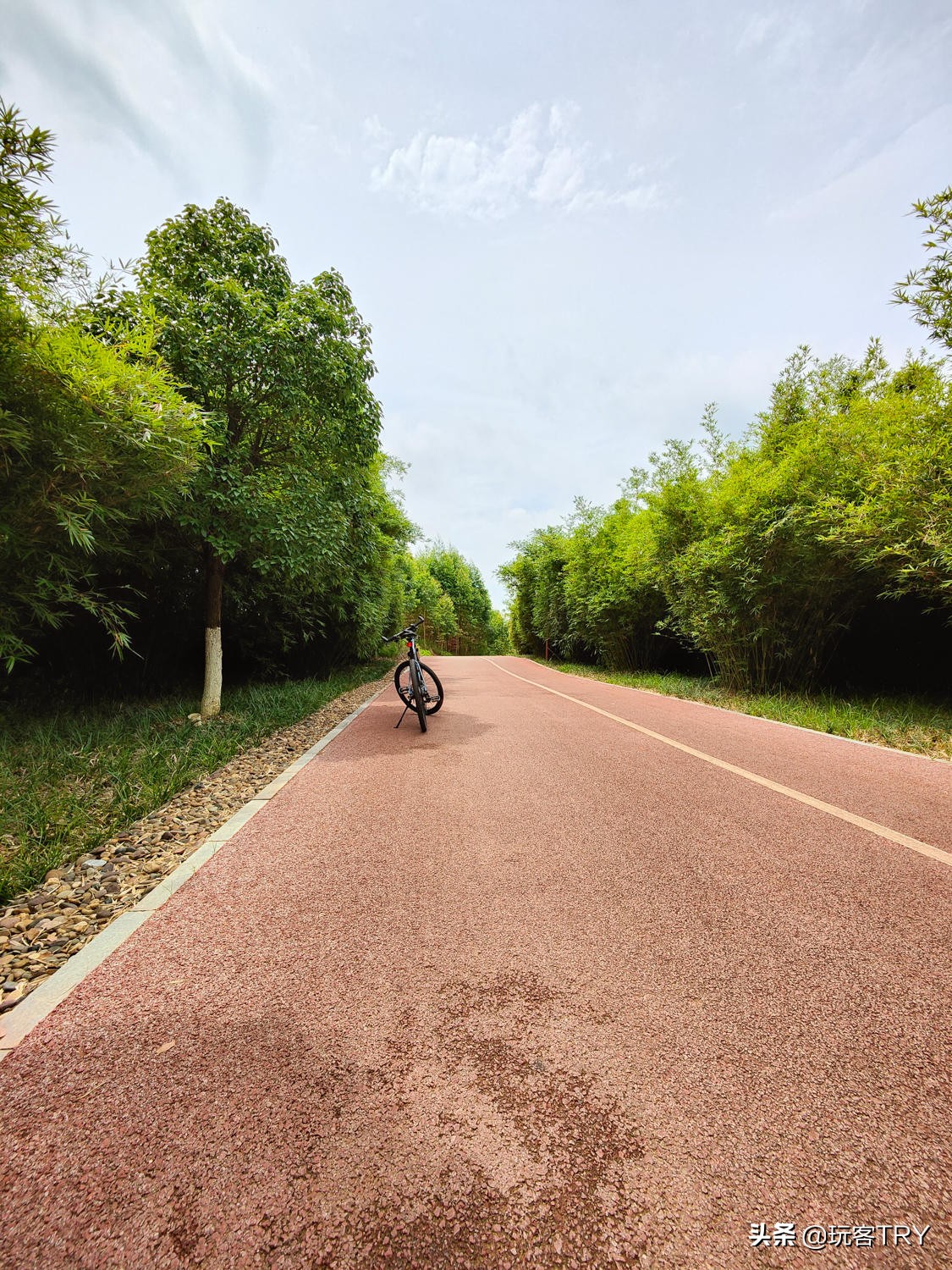 闲鱼捷安特假货多不,闲鱼卖的捷安特atx660假的吗